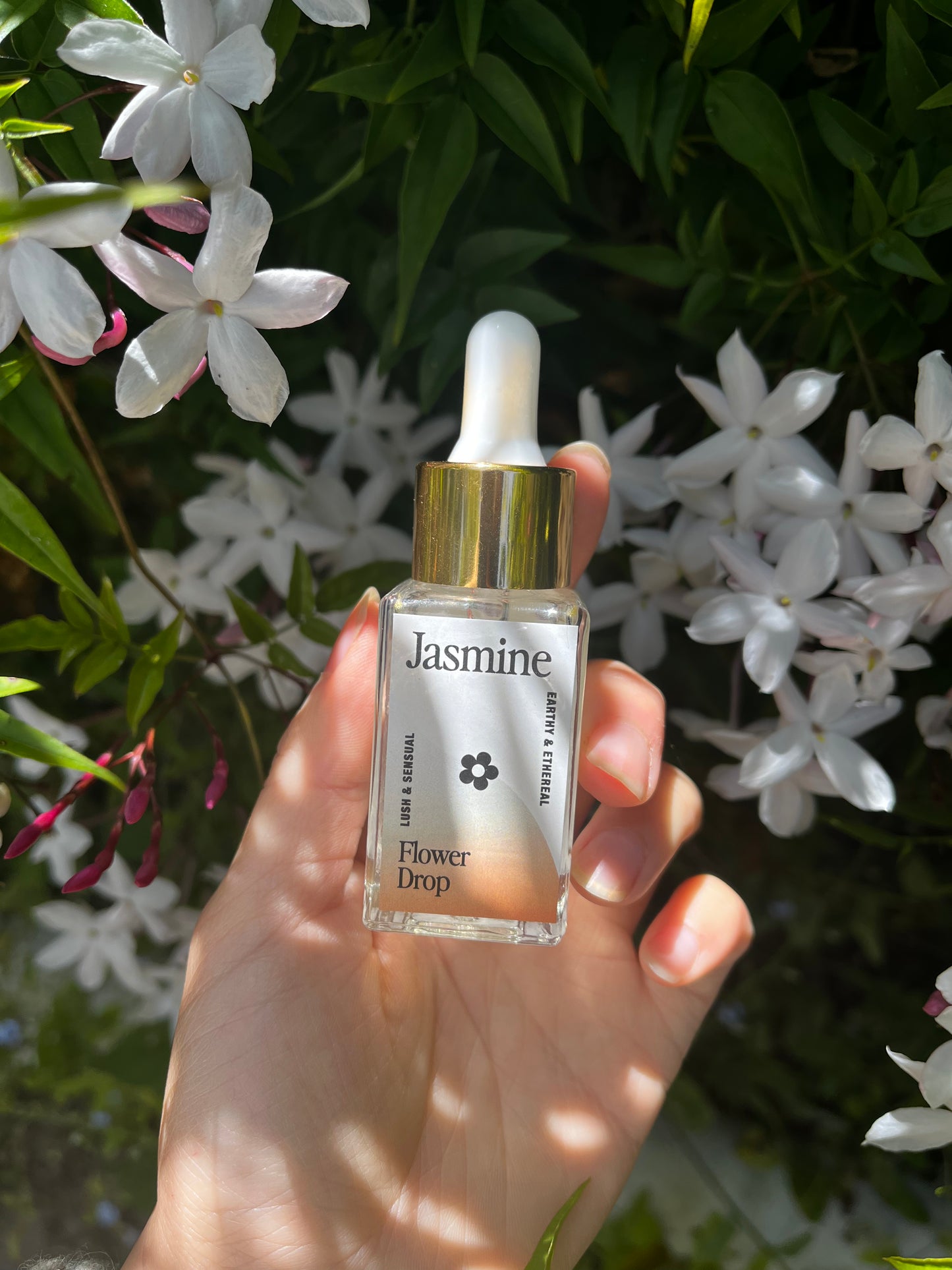 Jasmine Flower Drop
